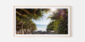 Burleigh Pandanus Tree - Burleigh Heads, QLD Australia