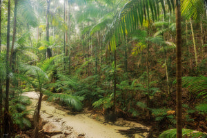 Central Station - K'Gari - QLD