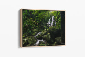 The Valley - Chalahn Falls, Lamington National Park