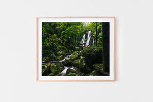 The Valley - Chalahn Falls, Lamington National Park