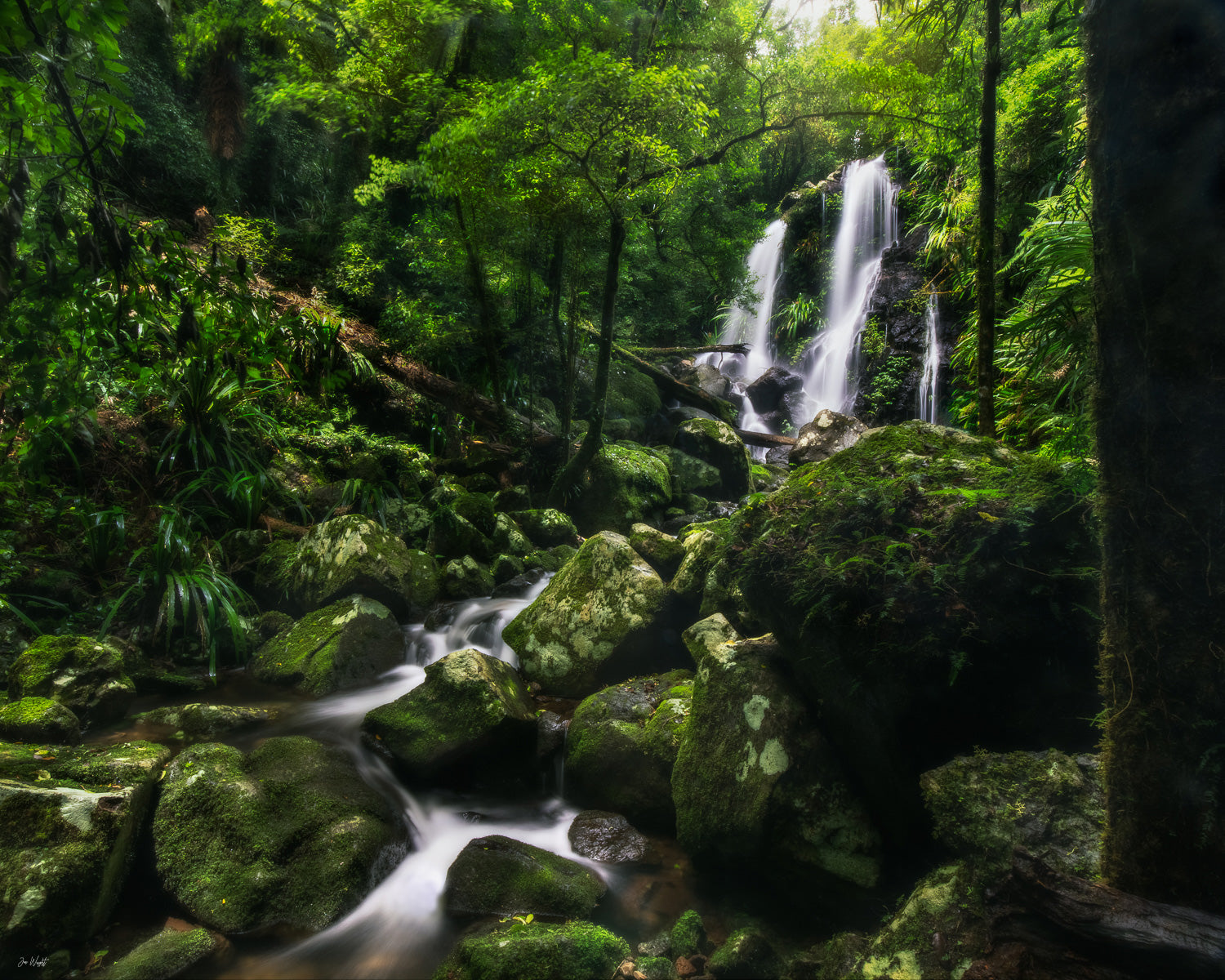 The Valley - Chalahn Falls, Lamington National Park