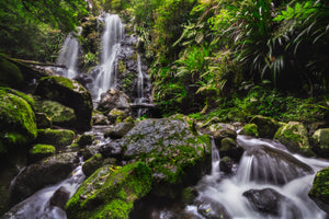 Chalahn Falls - Lamington National Park, QLD - Australia