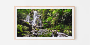 Chalahn Falls Panorama - Lamington National Park, QLD Australia