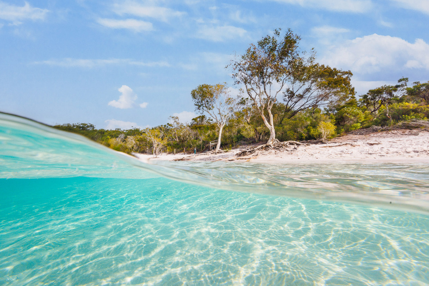 Lake McKenzie Fraseri Island underwater photo