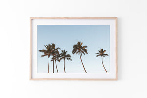 Palm Art | Life's A Beach Collection