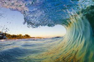 Rainbow Curl | Ocean Art Collection