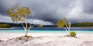 Storm On The Lake Panorama - K'Gari, QLD Australia