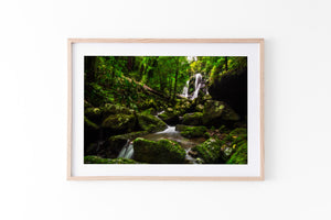 Stepping Stones - Lamington National Park