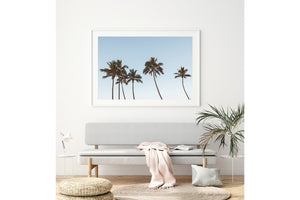 Palm Art | Life's A Beach Collection